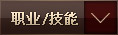职业技能