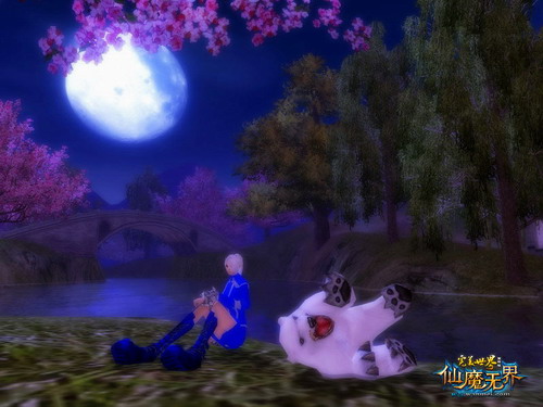 《完美国际》妙趣横生宠物情缘 - 《完美国际》